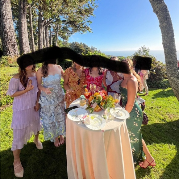 Elliatt Strapless Dress with Blue Floral Appliqué - Picture 5 of 5